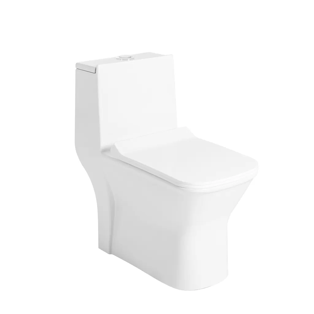 EARM - One piece water closet with seat cover - 680x360x710 mm